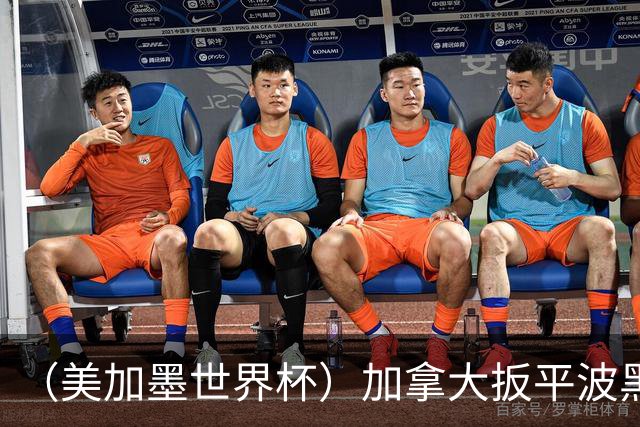 （美加墨世界杯）加拿大扳平波黑 获队史世界杯首分